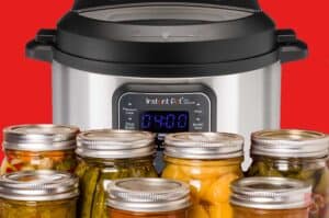 ninja blender seal replacement