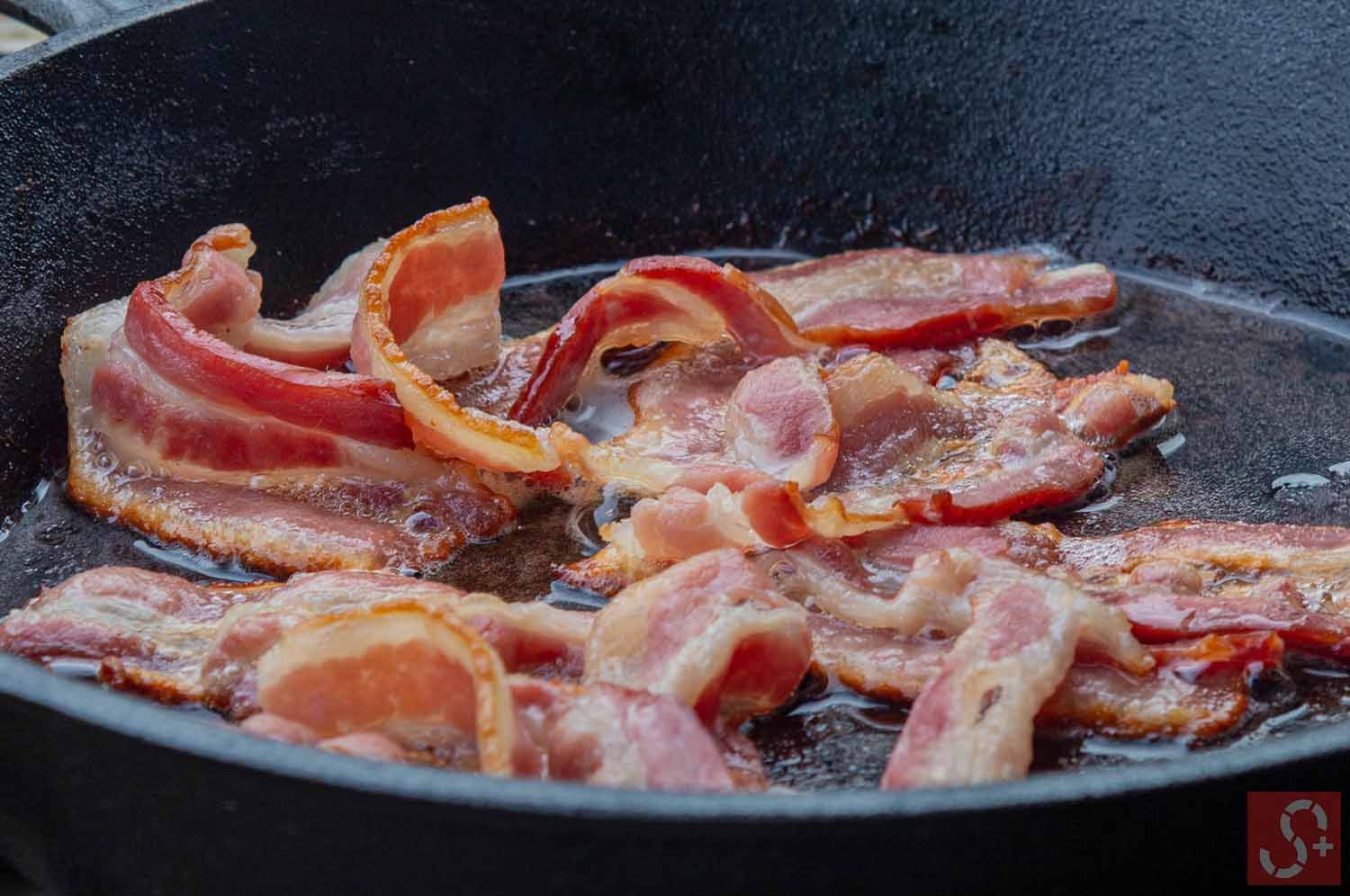 Cooking Bacon in Frying Pan