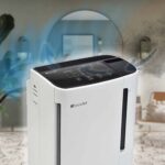 Brondell Revive Air Purifier & Humidifier in a Living Room with Large Plant