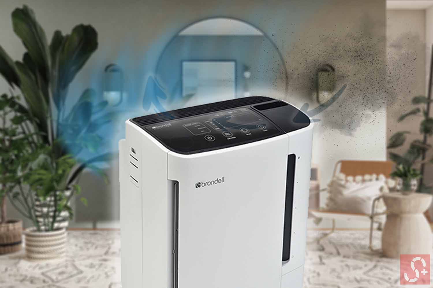 Brondell Revive Air Purifier & Humidifier in a Living Room with Large Plant