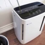 Brondell Revive Air Purifier & Humidifier in a Living Room beside Plant