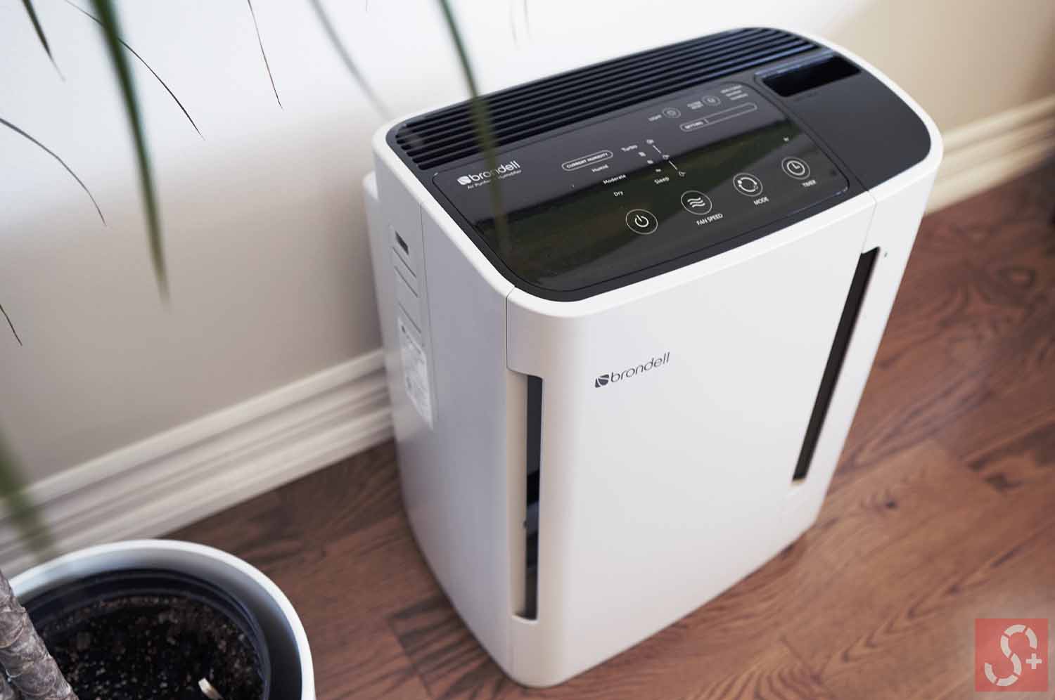 Brondell Revive Air Purifier & Humidifier in a Living Room beside Plant