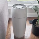 Homedics Air Purifier in livingroom with plats